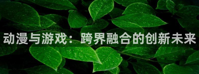 梦天堂动漫
